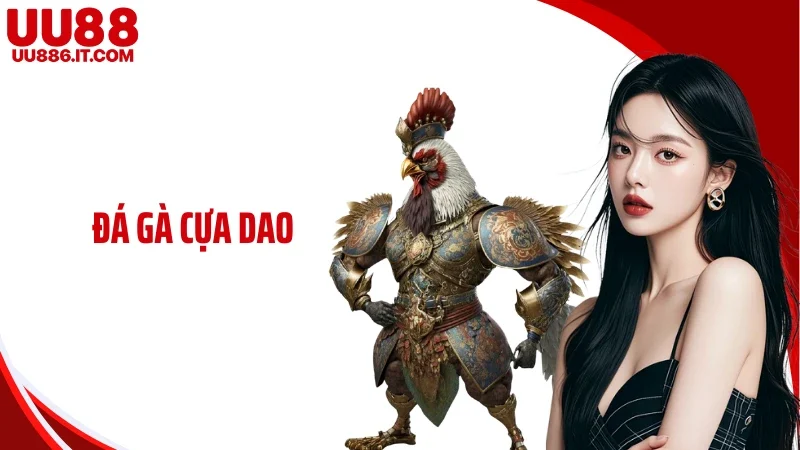 Đá Gà Cựa Dao - Sức Hút Trận Đấu Kịch Tính Không Thể Bỏ Lỡ