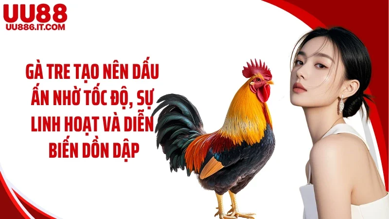 Gà tre tạo nên dấu ấn nhờ tốc độ, sự linh hoạt và diễn biến dồn dập