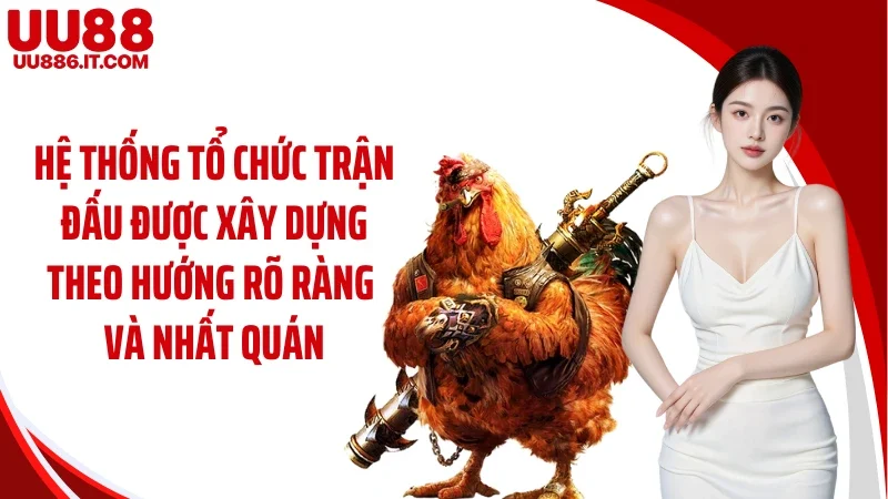 Hệ thống tổ chức trận đấu được xây dựng theo hướng rõ ràng và nhất quán